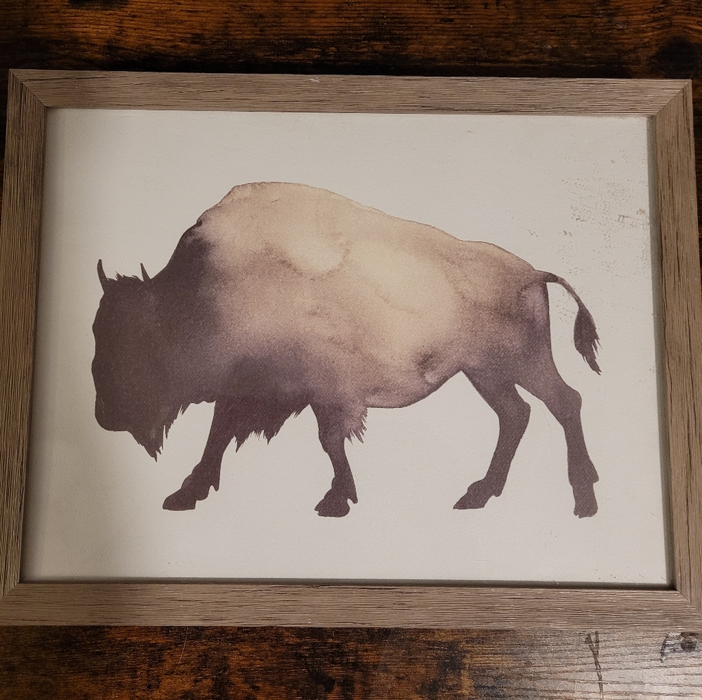 Framed In Glass Wall Art (Buffalo)